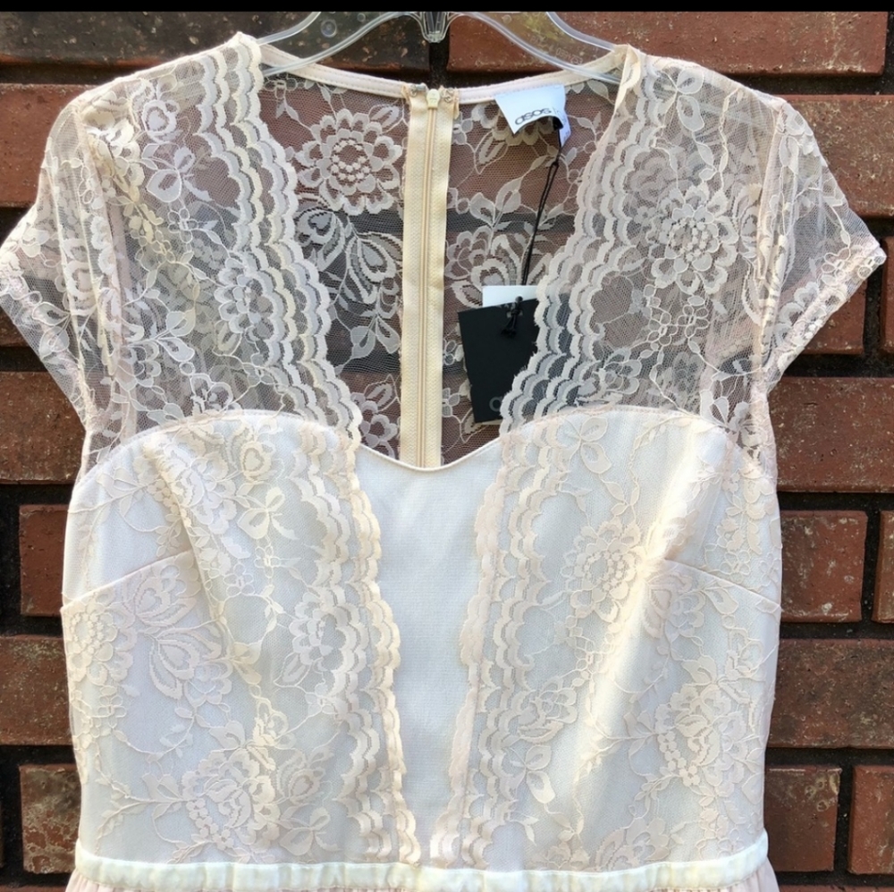 ASOS Tall Scalloped Lace Blush Dress. NWT. - Picture 4 of 5